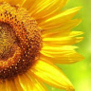 Meet your Posher, Audriana